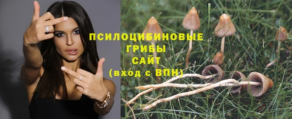 MESCALINE Алзамай