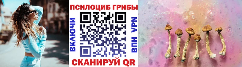 Купить закладки  Кремёнки  Псилоцибиновые грибы прущие грибы 